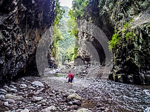 Bras de la Plaine river in La Reunion island