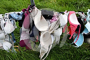 Bras on a fence- What acurious kind of stilllife photo