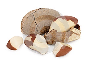 Brasil nuts in nutshell isolated on white background with clipping path and full depth of field.