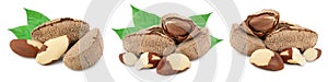 Brasil nuts in nutshell isolated on white background with clipping path and full depth of field. Set or collection