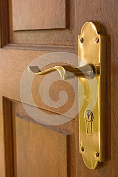 Brass door handle