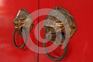 Brass door knob in tiger shape.