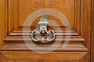 Brass door knocker on wooden door