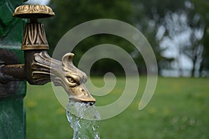 Brass dragon water tap