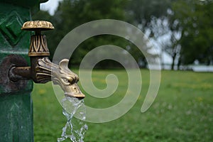 Brass dragon water tap