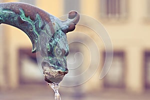 Brass fountain in the shape of a dragon - image with copy space