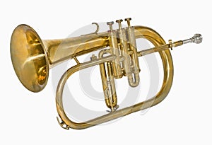 Brass isntrument