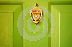 Brass Knocker Green Door
