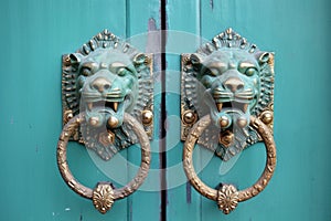 brass lion head door knocker and matching