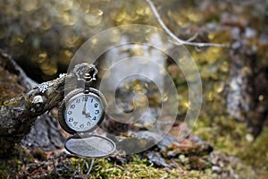 Brass pocket watch on green moss in a forest