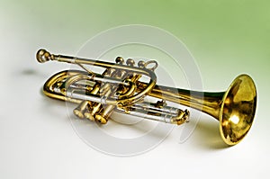 Brass trumpet photo