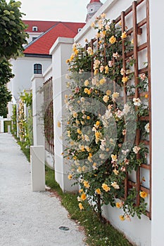 Bratislava castle - beautiful baroque garden at one of the castle yards