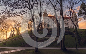 Bratislava Castle through the Trees