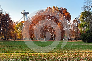 Bratislavský městský park na podzim