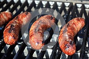 Brats Cooking on the Grill photo