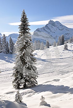 Braunwald, Switzerland