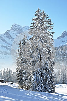 Braunwald, Switzerland