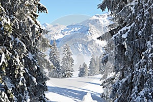 Braunwald, Switzerland