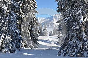 Braunwald, Switzerland