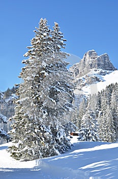 Braunwald, Switzerland