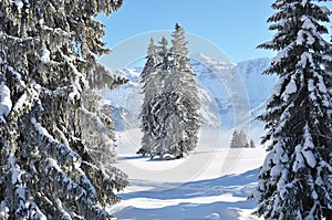 Braunwald, Switzerland