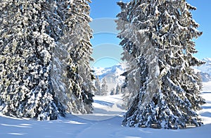 Braunwald, Switzerland