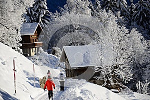 Braunwald in Switzerland Snow Christmas Mountains
