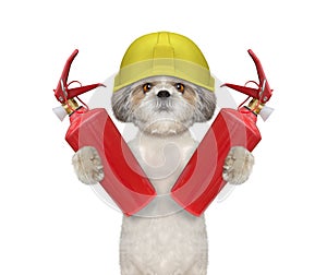 Brave firefighter dog is ready to work