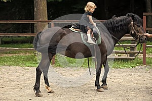 Brave little girl riding a horse. Girl ride on horse on summer day