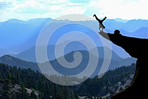 Bravest man in the cliff