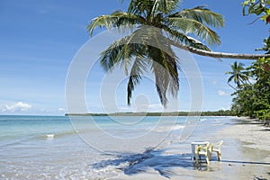 Brazil Beach Palm Tree Table and Chairs