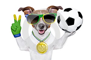 Brazil fifa world cup dog