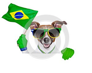 Brazil fifa world cup dog