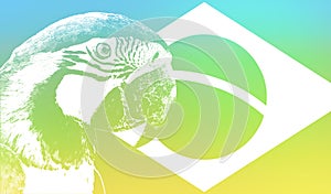 Brazil flag illustration with an Arara bird.