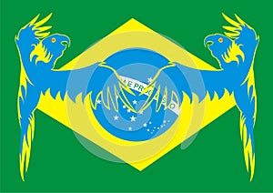 Brazil flag with McCaws