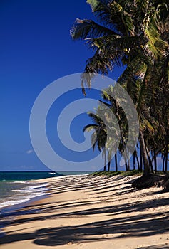 Brazil Maceio Gunga Beach