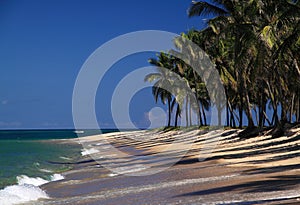 Brazil Maceio Gunga Beach in Alagoas sta photo