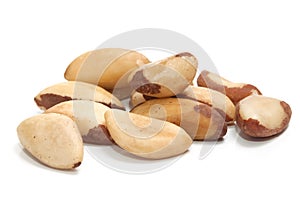 Brazil nut photo