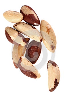 Brazil nut