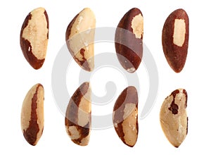 Brazil nut