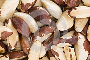 Brazil Nut Background