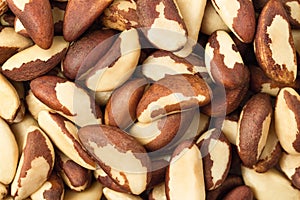 brazil nut