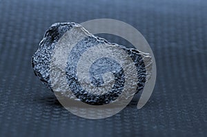Brazil Nut on black background.