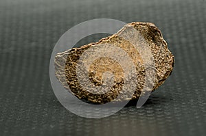 Brazil Nut on black background.