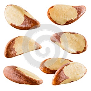 Brazil nut isolated on white background. Collection