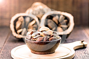 Brazil nut, popularly known in Portuguese as