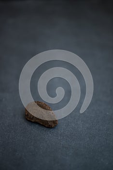 Brazil Nut resting on dark background
