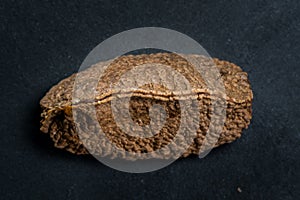Brazil Nut Shell on Dark Background