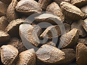 Brazil Nut Shells
