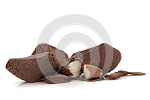 Brazil Nuts photo